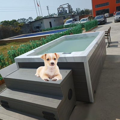 Acryl-Schwimmbad für Hunde